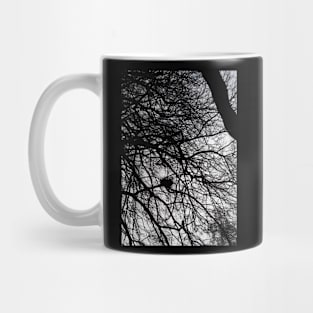 Winter Branches Mug